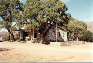 Exterior of home with dirt yard and road, rock wall, tall trees, person standing outside